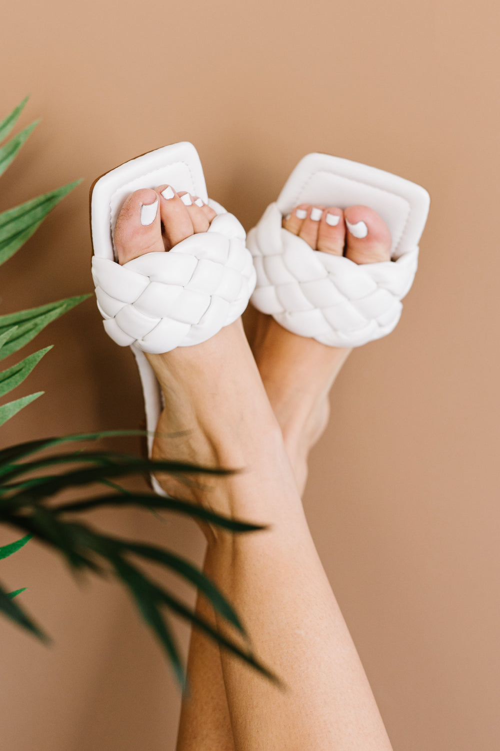 02e6ed64597e4b3cbcbdc729b17d0df2-Max