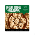 ZEW Yunnan Organic Walnut Kernels* Walnut Kernels 250g* 1 Bag